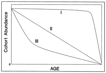 FIG. 14. Hypothetical survivorship curves (modified from Slobodkin 1961). A type I curve has little mortality senescence; the Type II curve has an equal absolute amount of mortality in all life stages; Type III is frequently used to model fish mortality since it indicates that a constant proportion of the cohort dies through time.