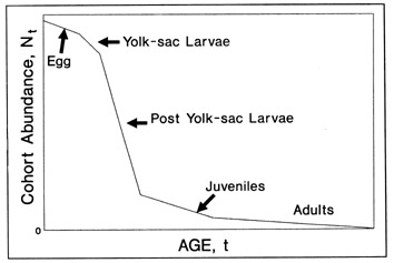 Hypothetical survivorship curve when mortality changes between life history stages.